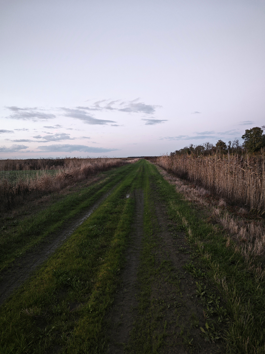 Наш октябрьский вечер, около 13 градусов