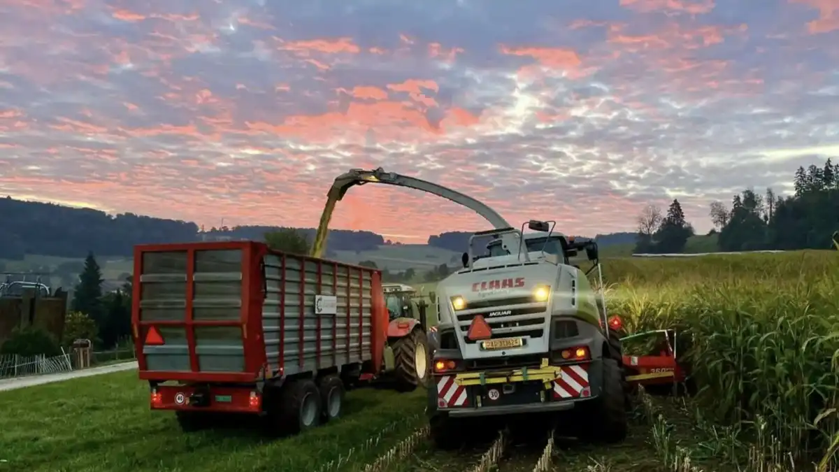 Фото: agrarheute.comФанат кукурузоуборочных комбайнов создал приложение для наблюдения и мониторинга