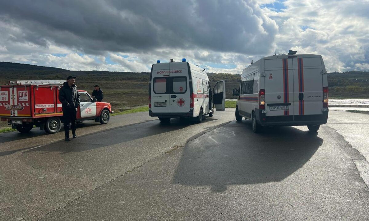    Фото t.me/Gavrikovzam