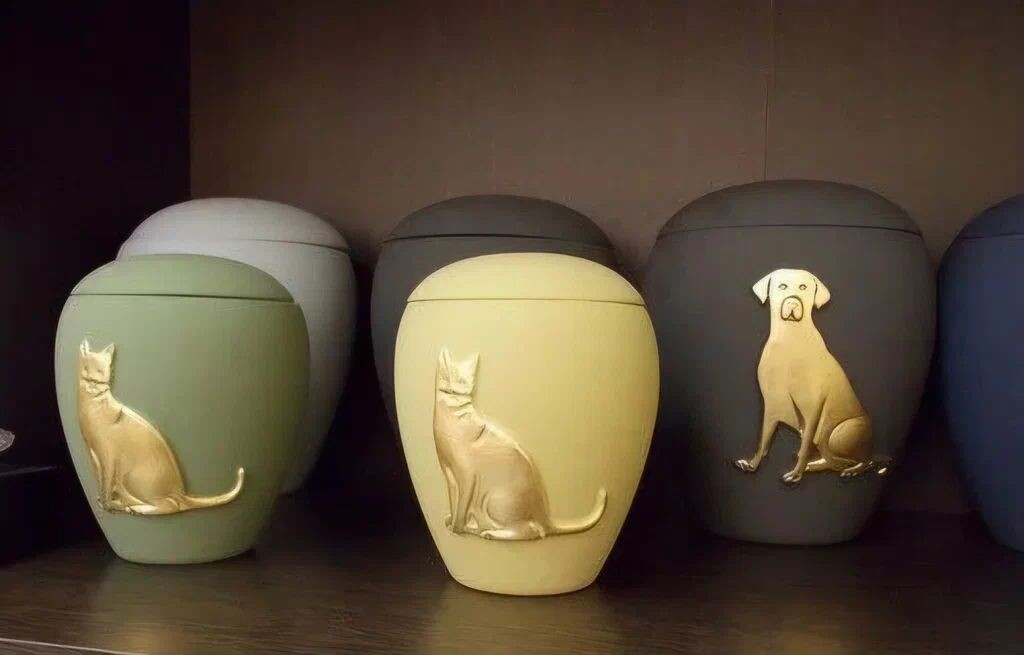 Источник фото - Яндекс Карты