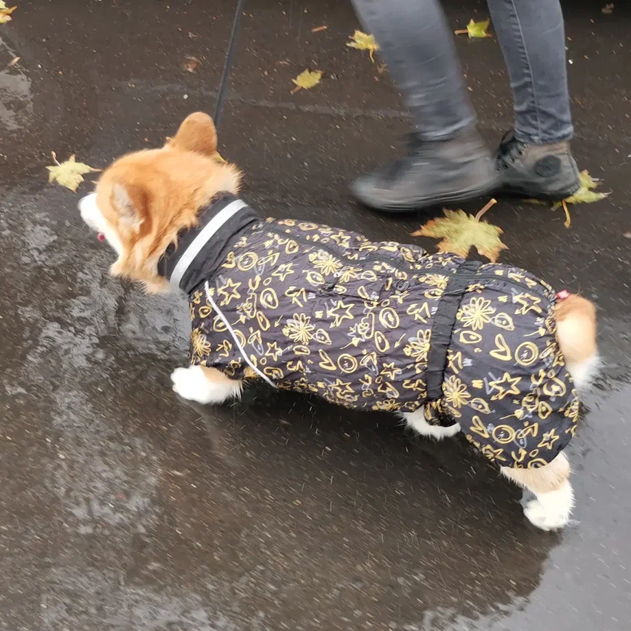Сапоги — магнит для грязи. Моя миссия — проверить их прочность