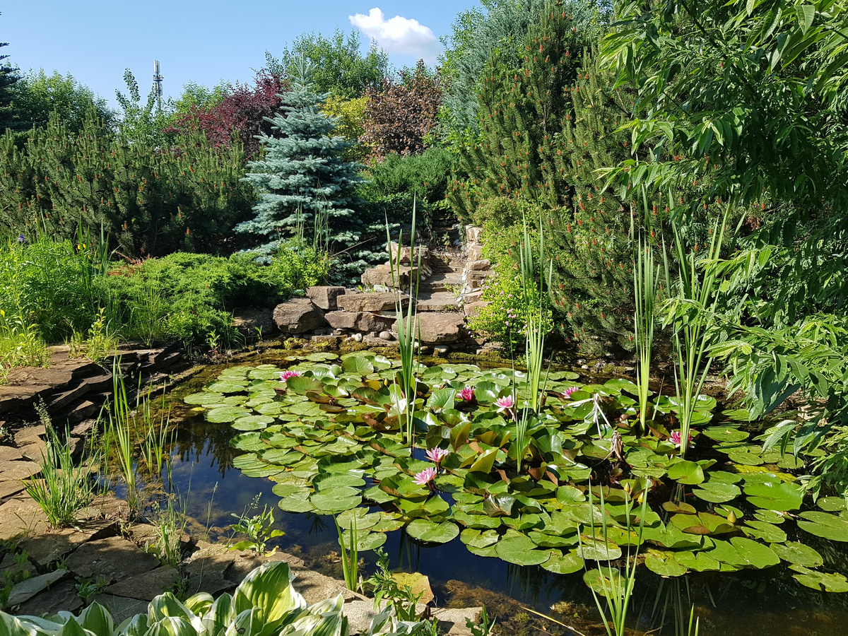 Водоем с каскадом