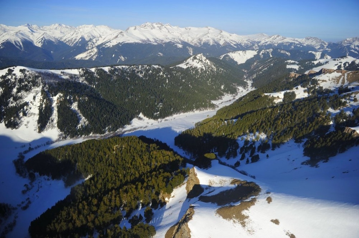    Фото пресс-службы Кавказского заповедника