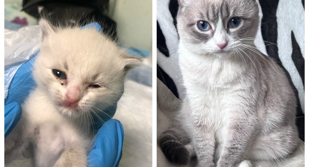 До и после: чудеса случаются