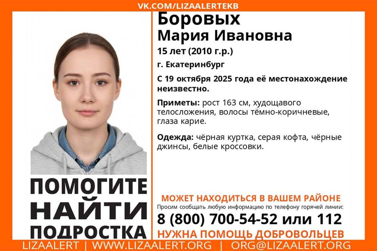    Фото: поисковый отряд «ЛизаАлерт» Свердловской области