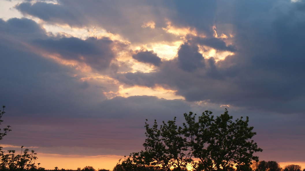    Фото: Victor Lisitsyn/Globallookpress