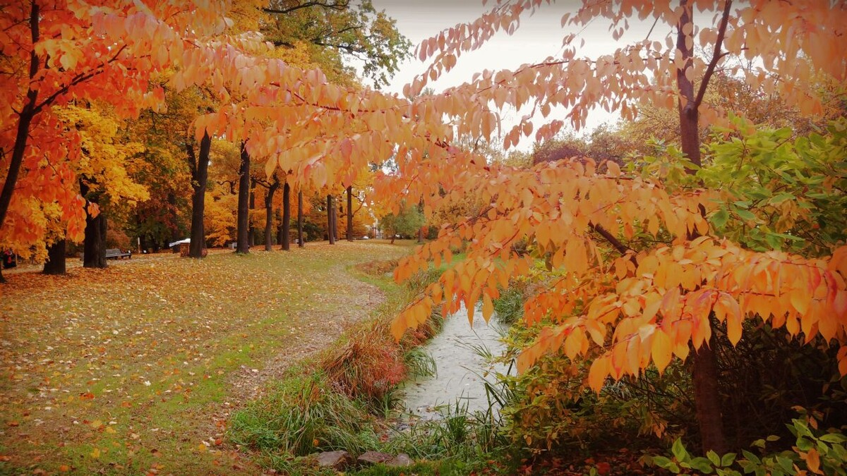    Фото: Царьград