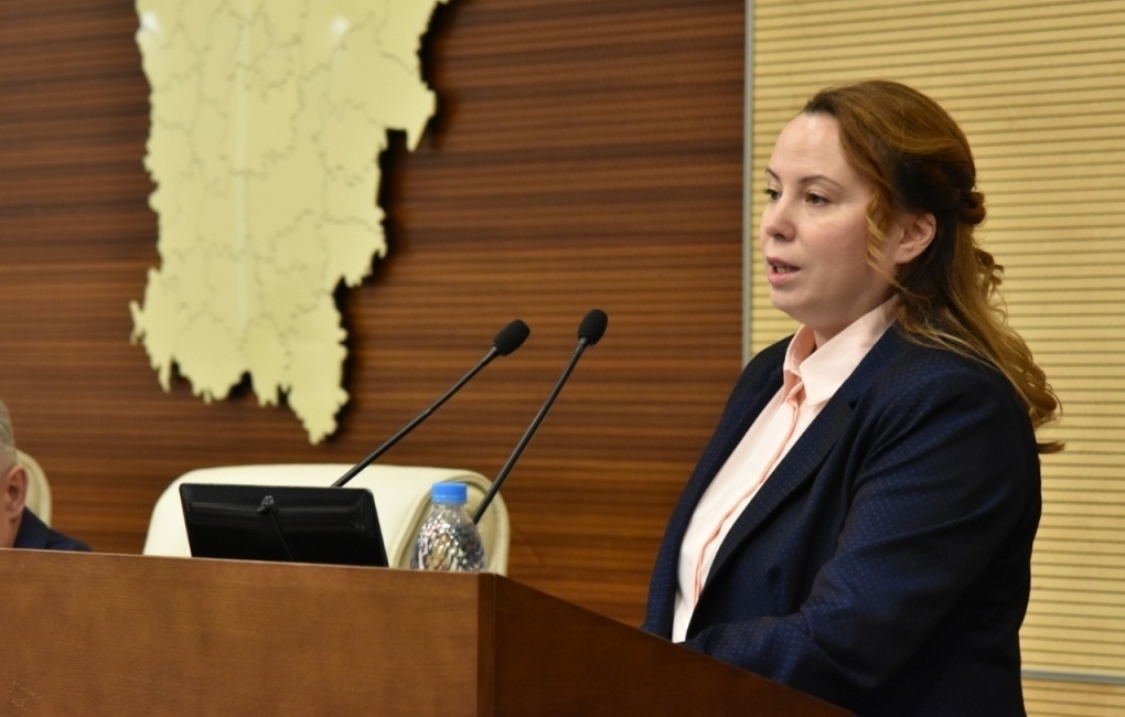    Генеральный директор АНО "Цифровая экономика" Чулпан Госсамова  Законодательное Собрание Пермского края