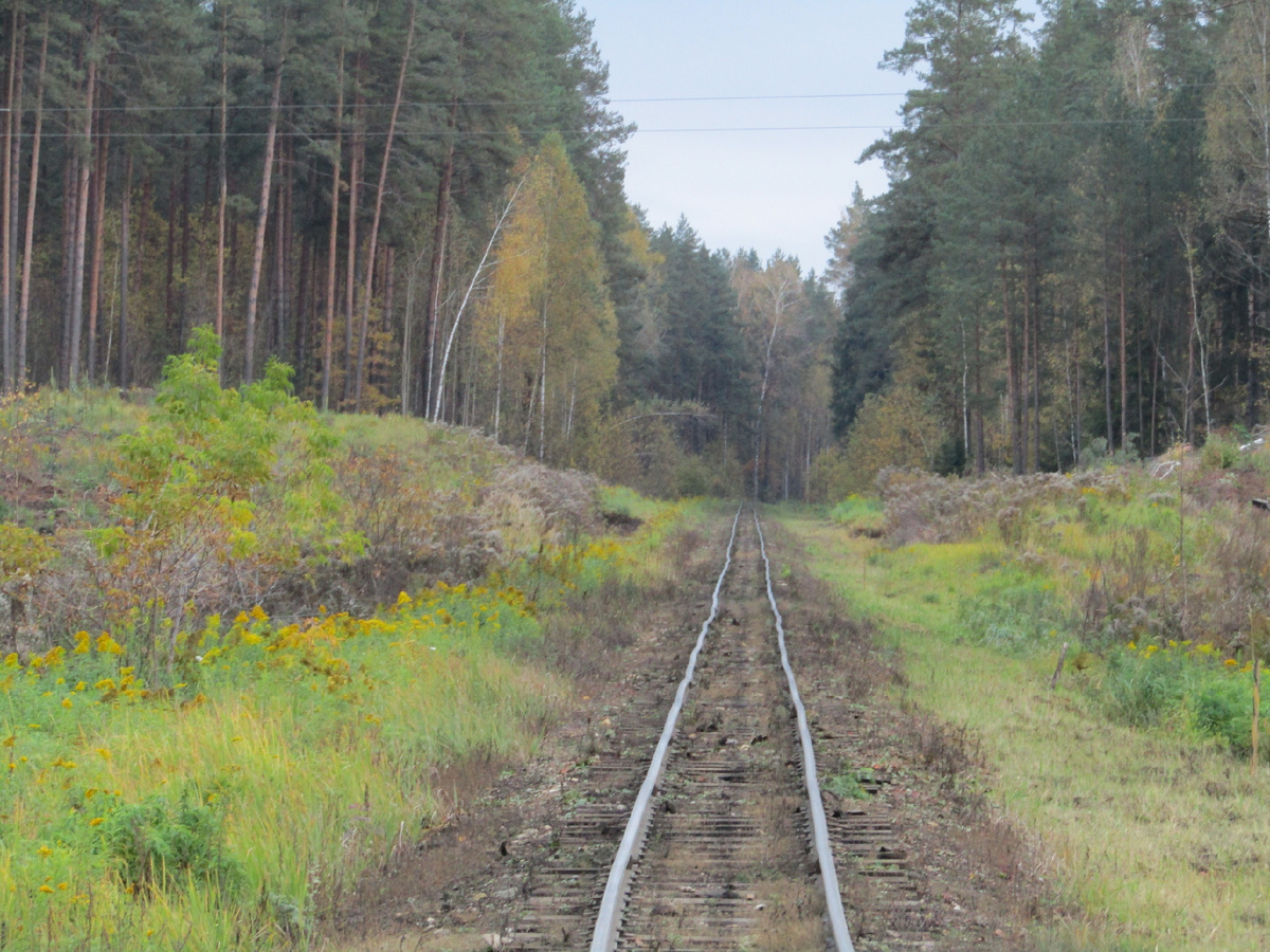 Здесь кривизна рельс - эффект ультразума 