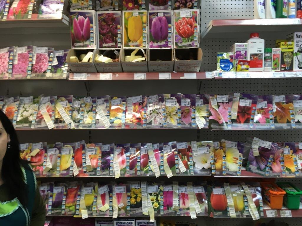 В сезон продажи луковиц тюльпанов есть на что посмотреть. И что купить.