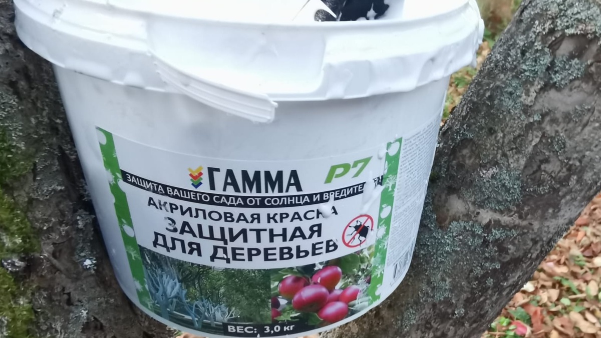 Изучил составы популярных марок садовых красок. 