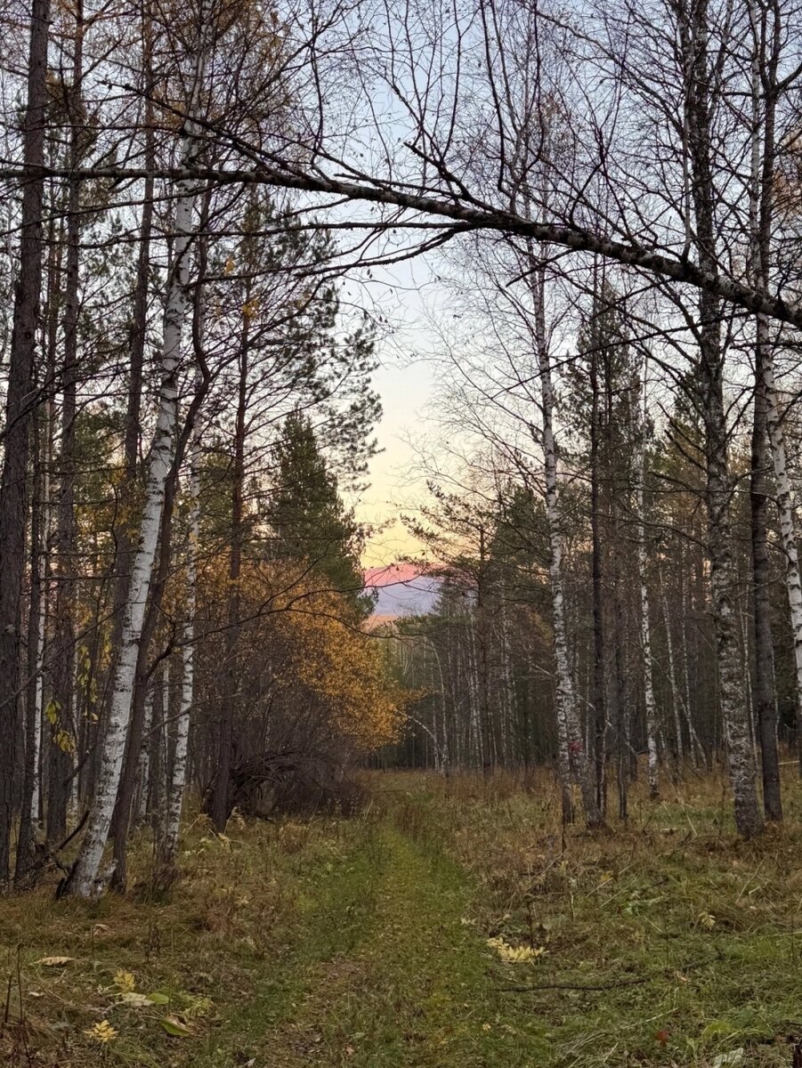    Фото: соцсети