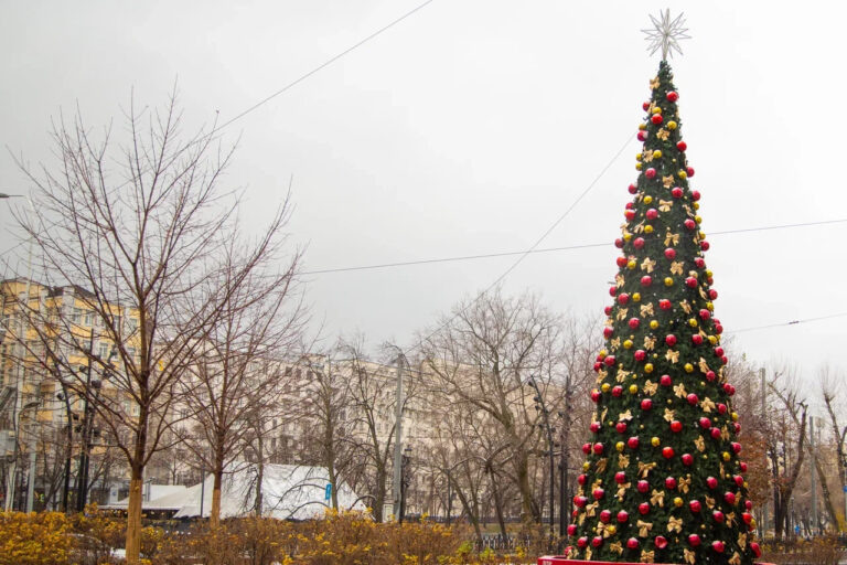    Фото: Общественная Служба Новостей Илья Федоров