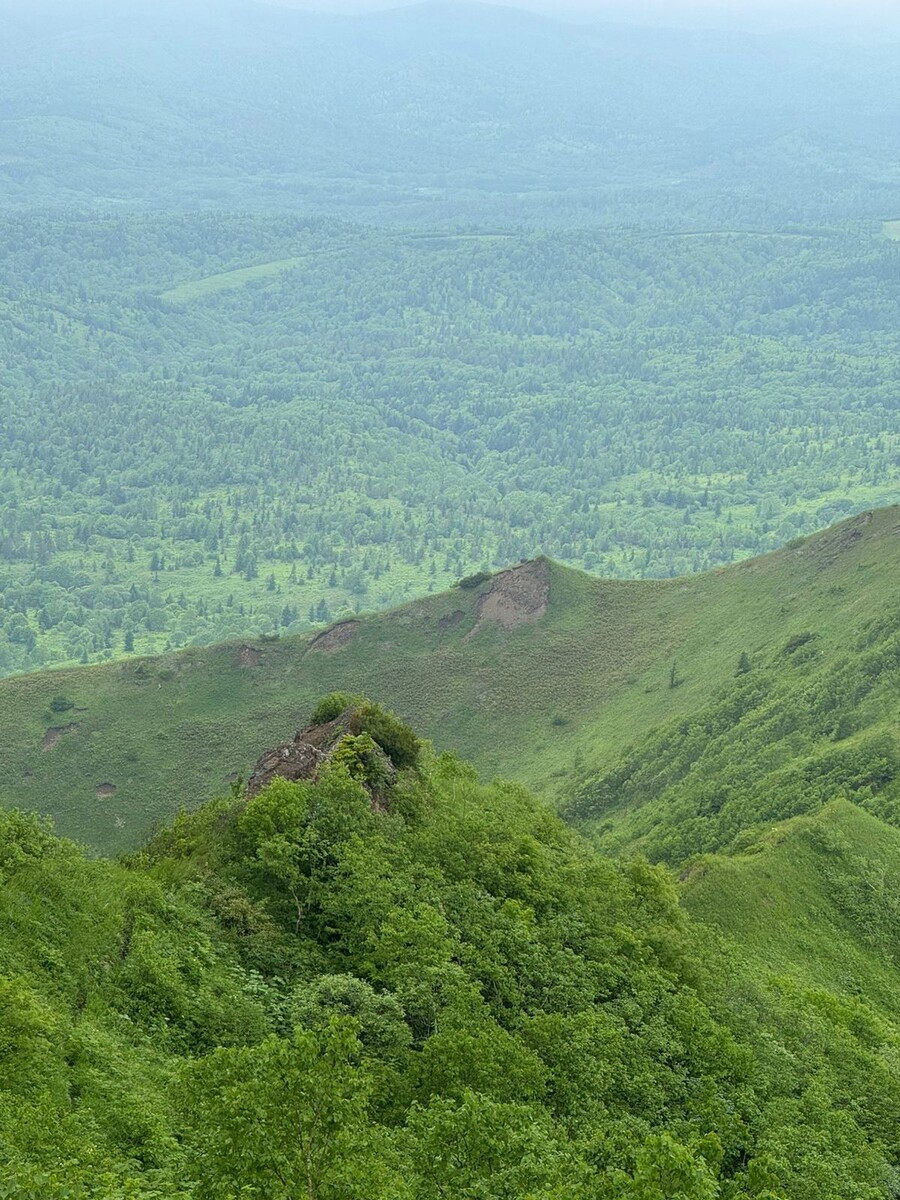 Зеленые сопки