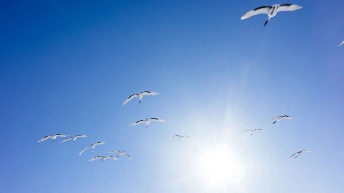    Фото: makieni/Shutterstock/Fotodom