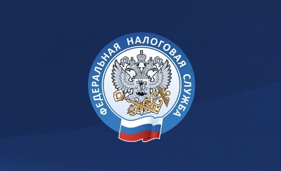 Заглавная, стиль, автор - ФНС