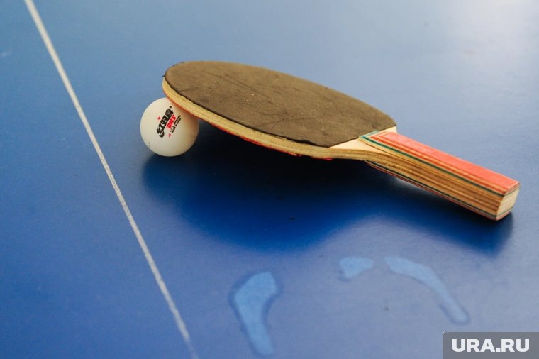     В Кургане в ЦПКиО появилось место для игр в настольный теннис