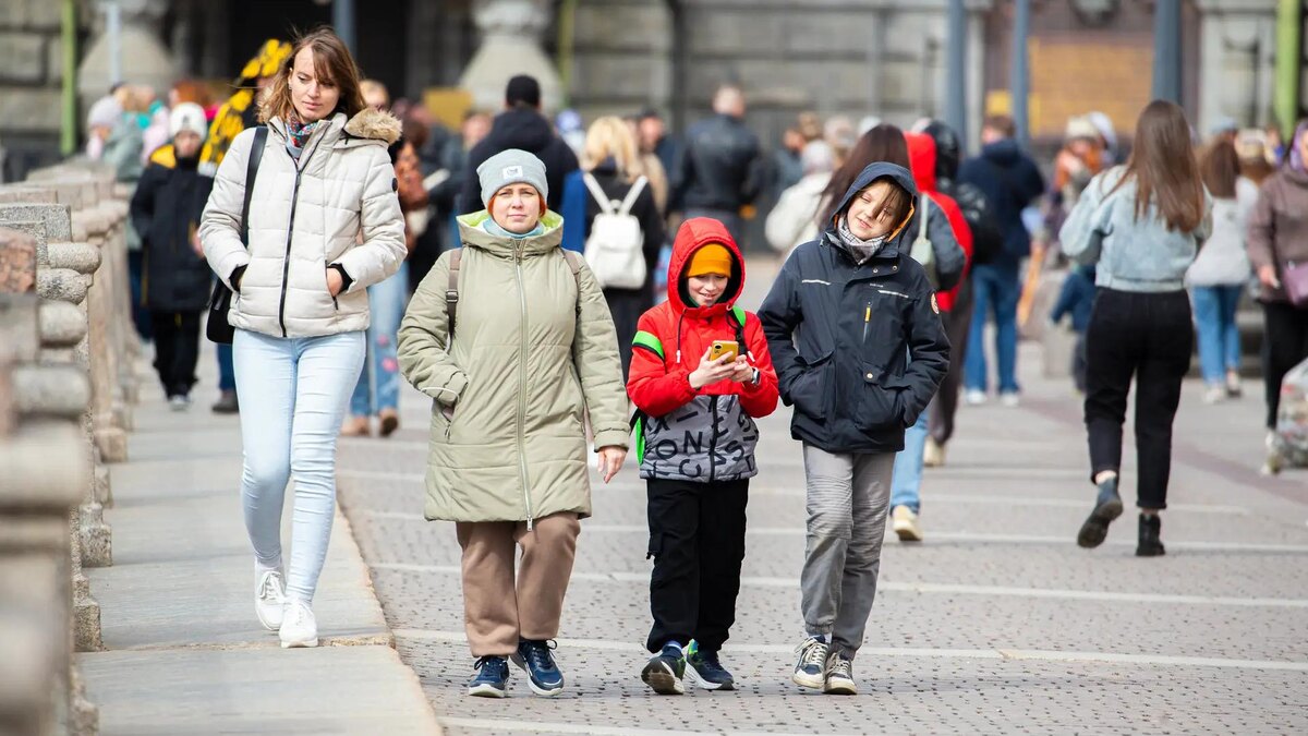    Фото: ИЗВЕСТИЯ/Телеканал «78»