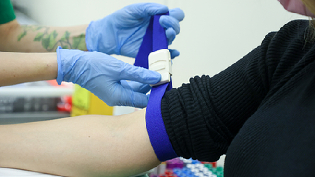    Фото: Petrov Sergey/Globallookpress.