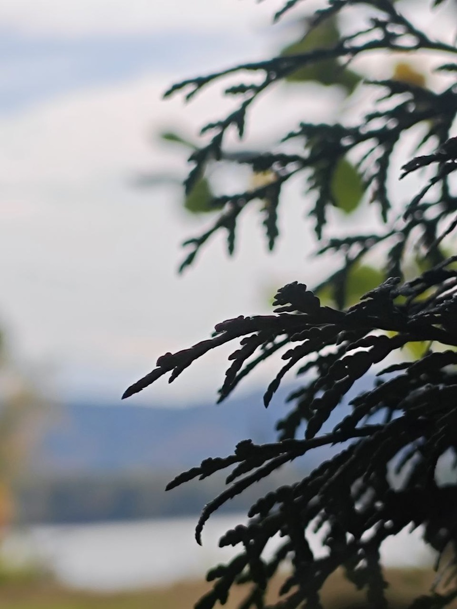 Волга, горы, природа...