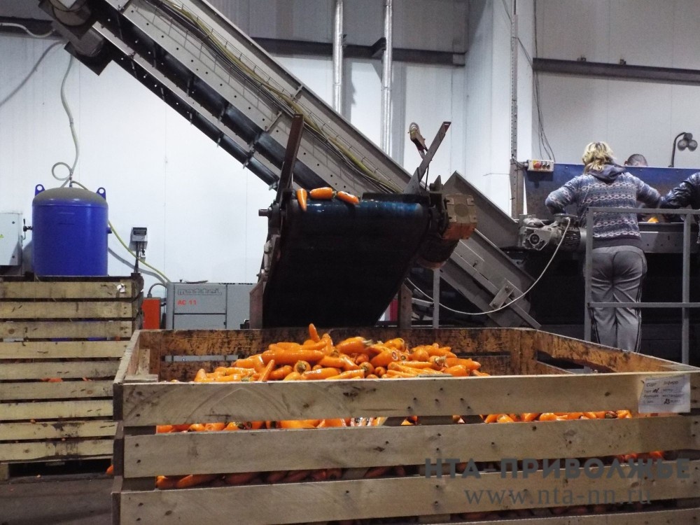    Крупный логистический центр планируют построить под Кировом к 2031 году