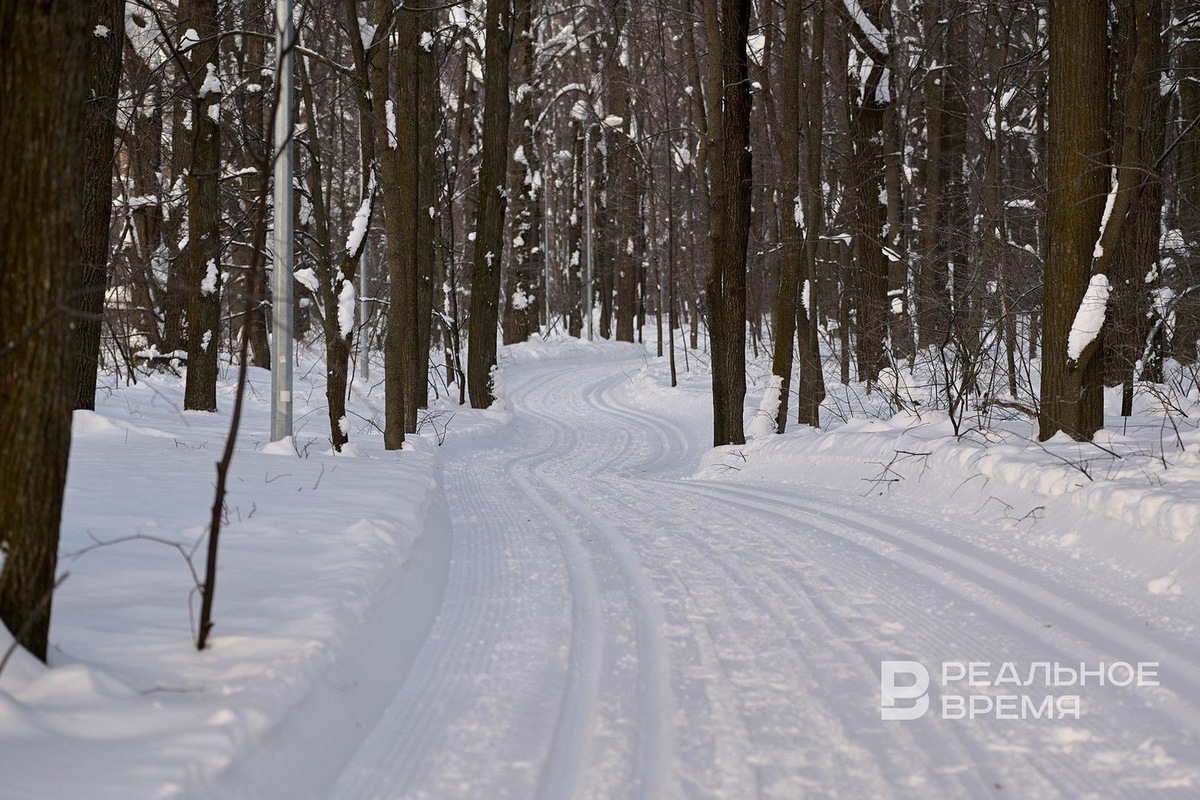   Динар Фатыхов / realnoevremya.ru