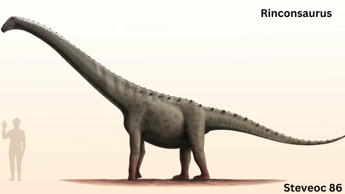 Ринкозавр - один из меловых зауроподов