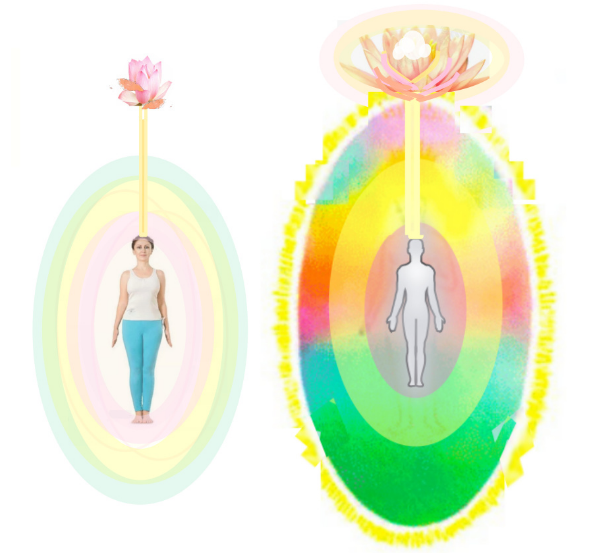 Слева: Тонкие тела и Душа (пока еще слабо раскрытый Лотос) для обычного человека (желтый поток от головы к Душе называется сутратма).
 Справа:  Все тела человека — физическое и эфирное, астральное и ментальное, и тело Души — каузальное (для продвинутого человека). Лотос Души раскрыт и даже видна «драгоценность в Лотосе».
