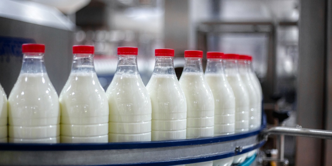 Признание технолога с молокозавода: «Половина того, что вы пьёте, корова бы сама не узнала». После него я вылил всё молоко из холодильника