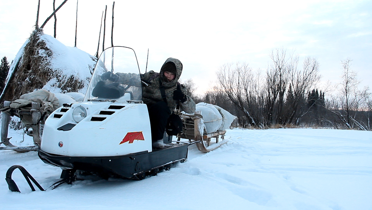 Приехали за сеном