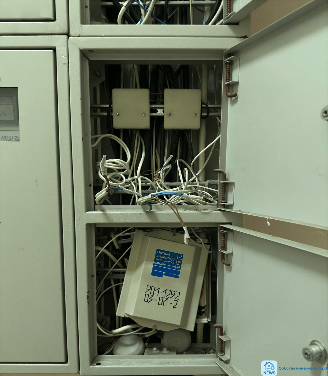 | фото © ISO M-P group