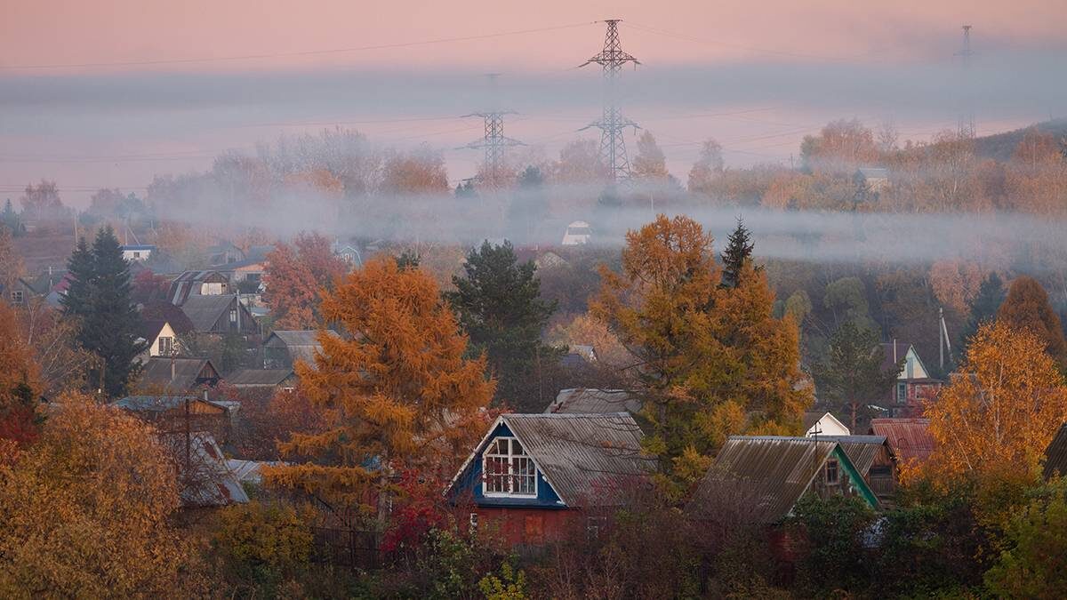    Фото: Shutterstock