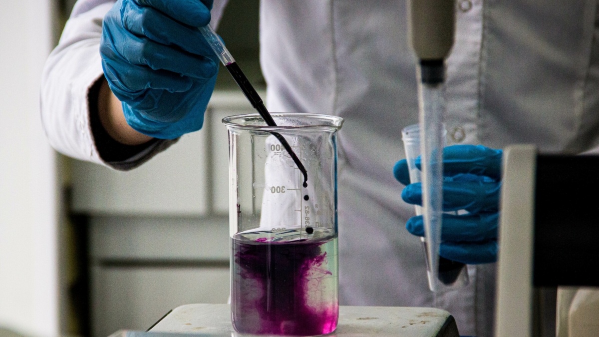 Фото: ИА SM-News📷
