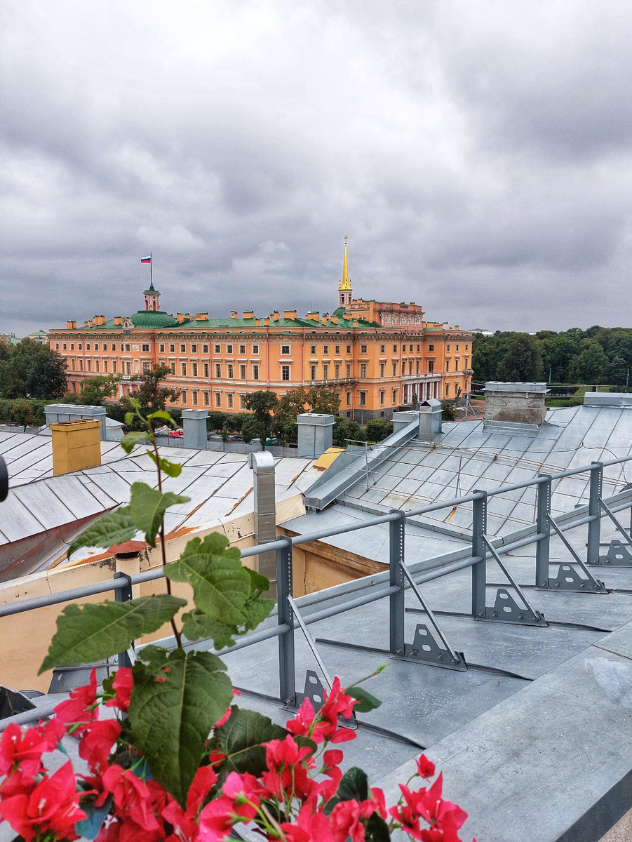 Вид на Михайловский замок