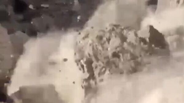    © Telegram-канал министра экологии и природных ресурсов Республики Крым Ольги Шевцовой