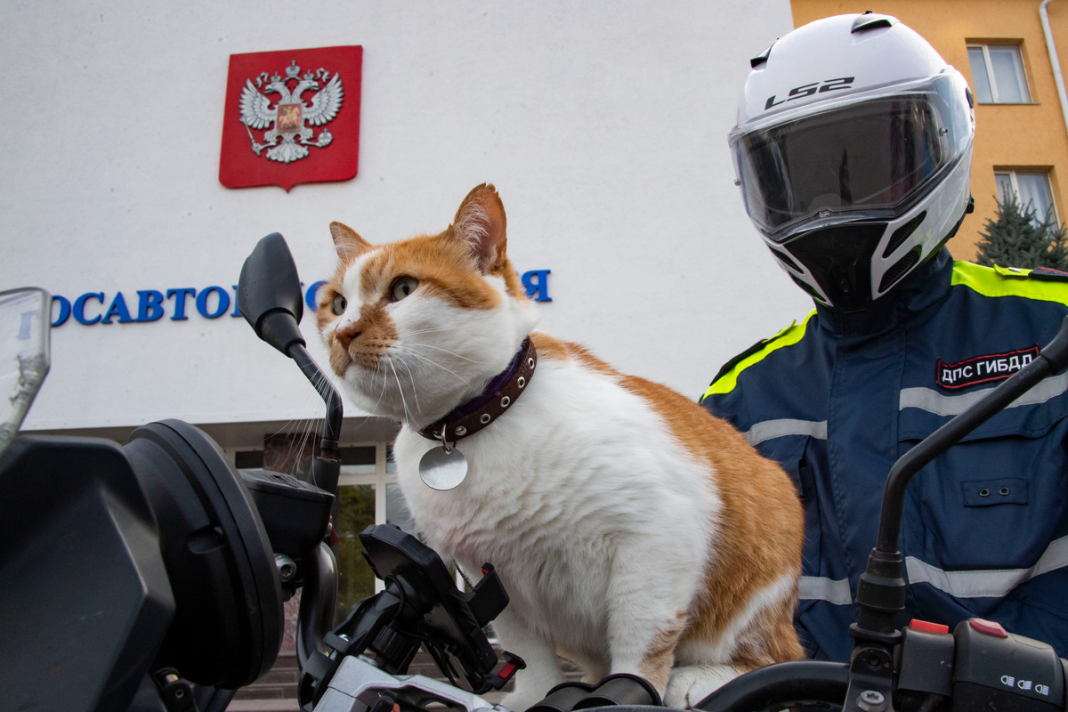 Сменил профессию. Но только на один день!