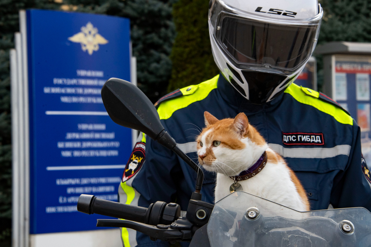 Ни один нарушитель не скроется от такого патруля.