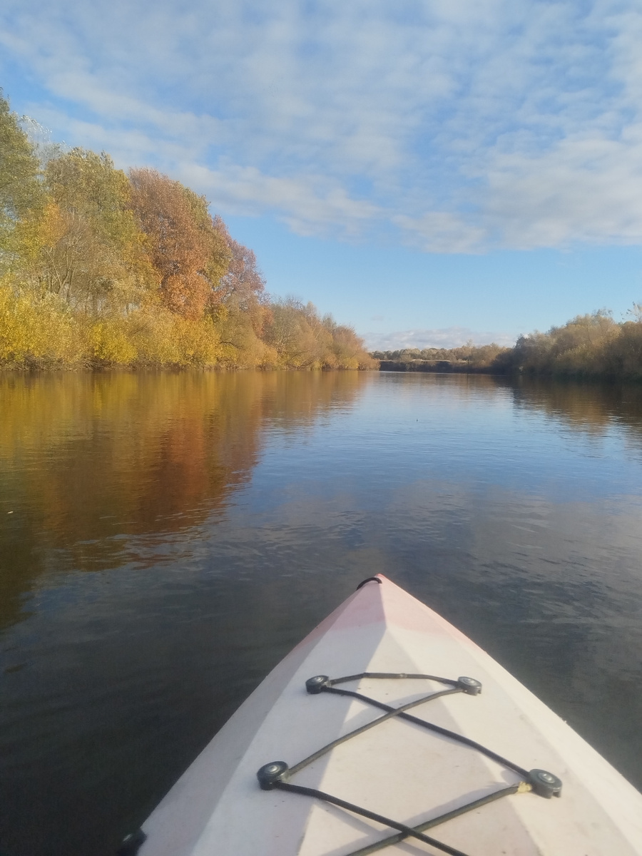 Немного золотой осени