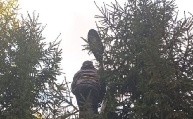    © МО "Юкковское сельское поселение"