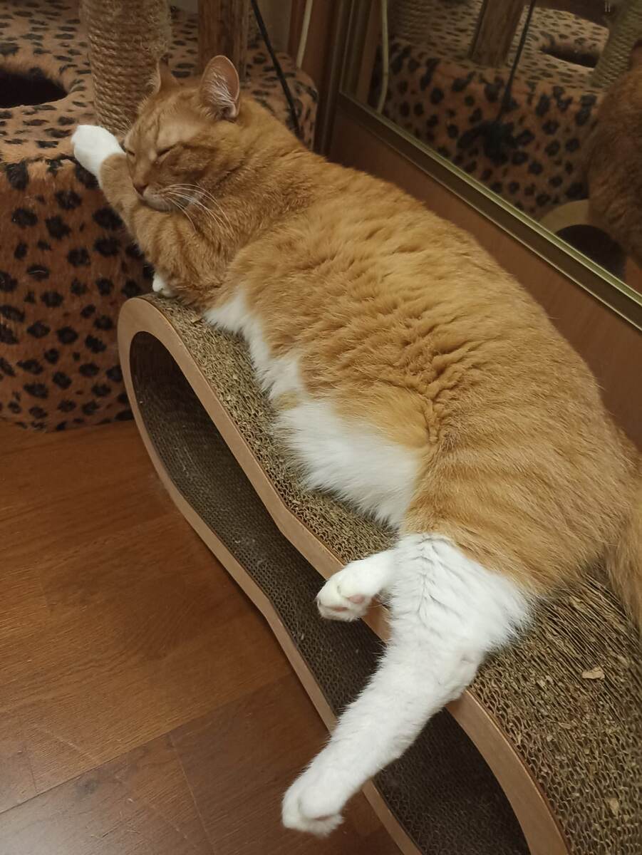 Ещё один невропатолог)) 