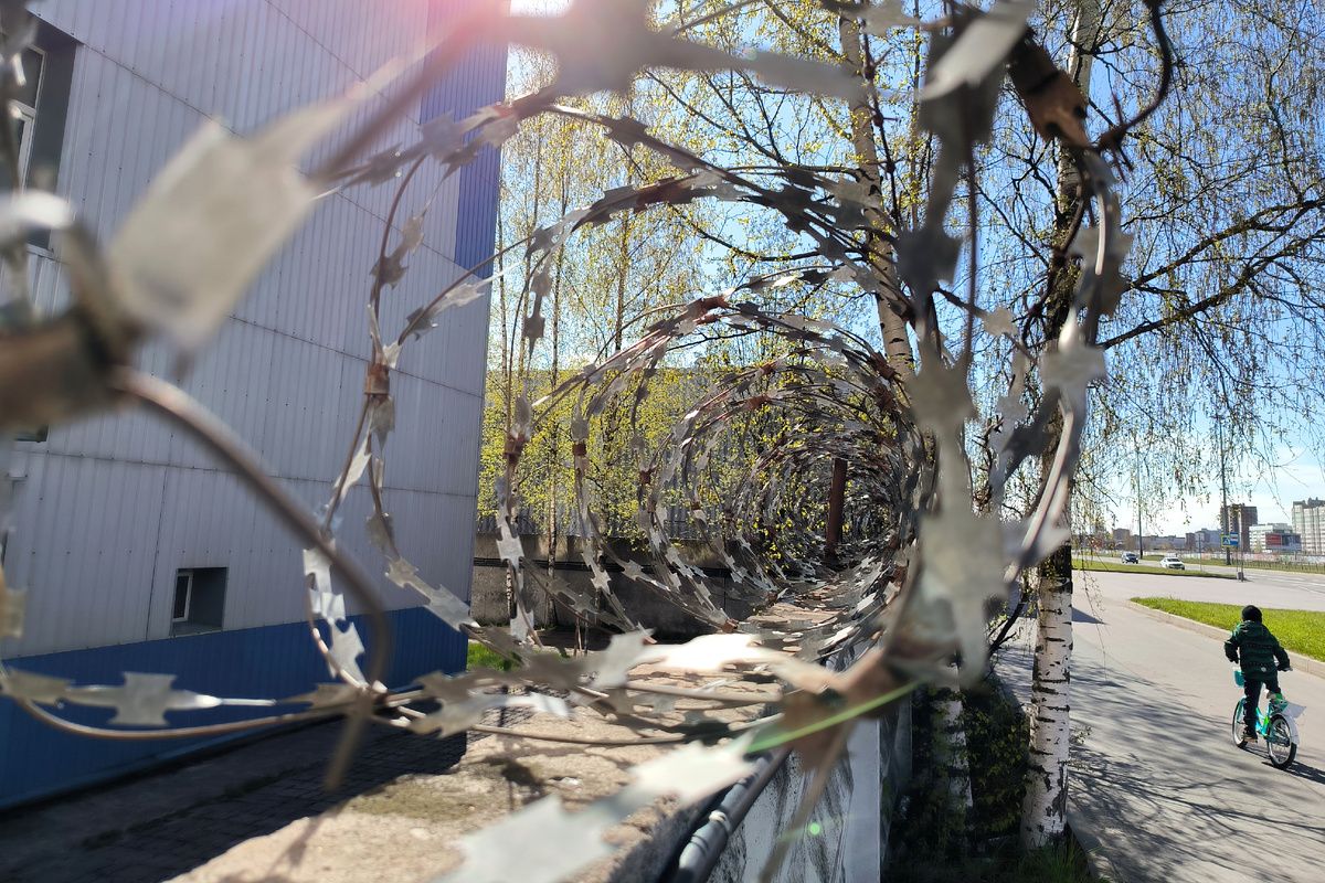 Фото: Maksim Konstantinov / Global Look Press
