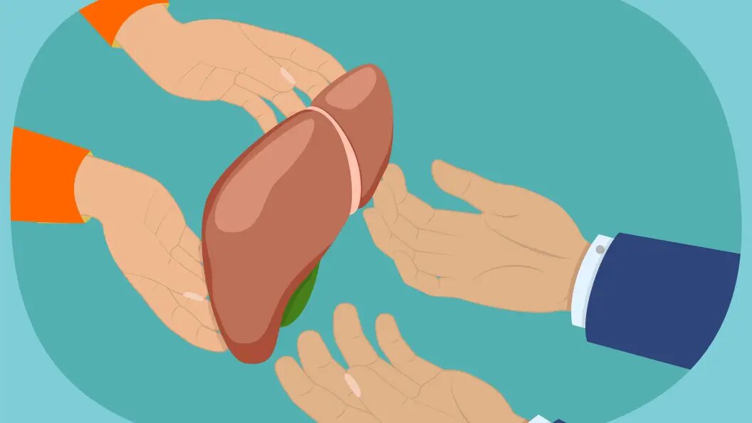    Фото: IMAGO/Zoonar.com/Anastasiia Tori/Globallookpress