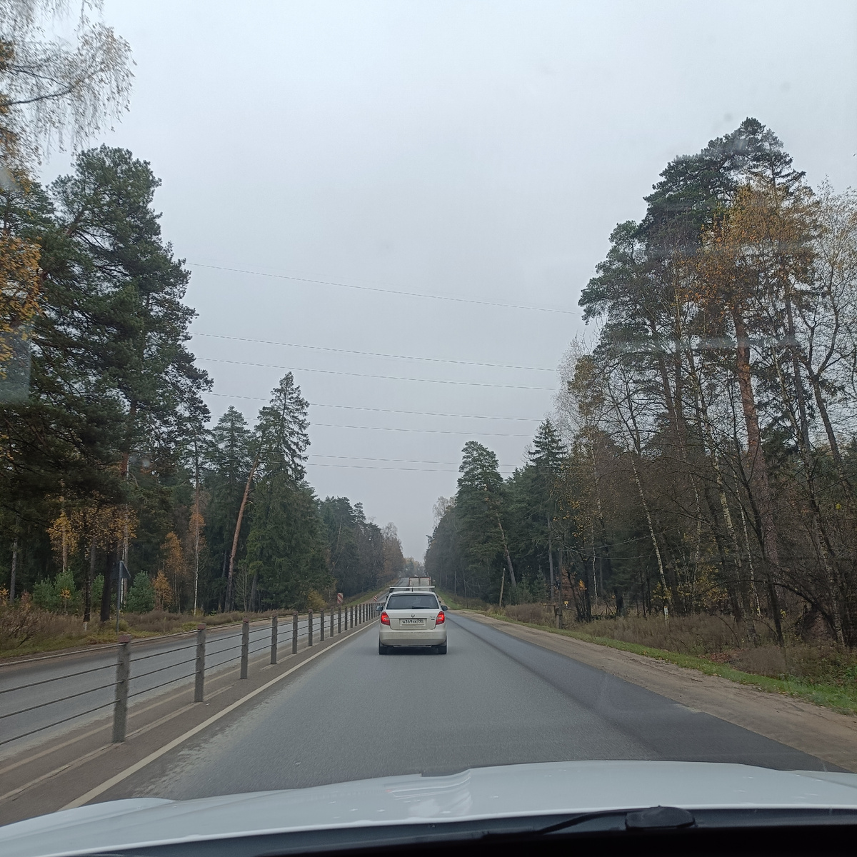 Еду за собакевной