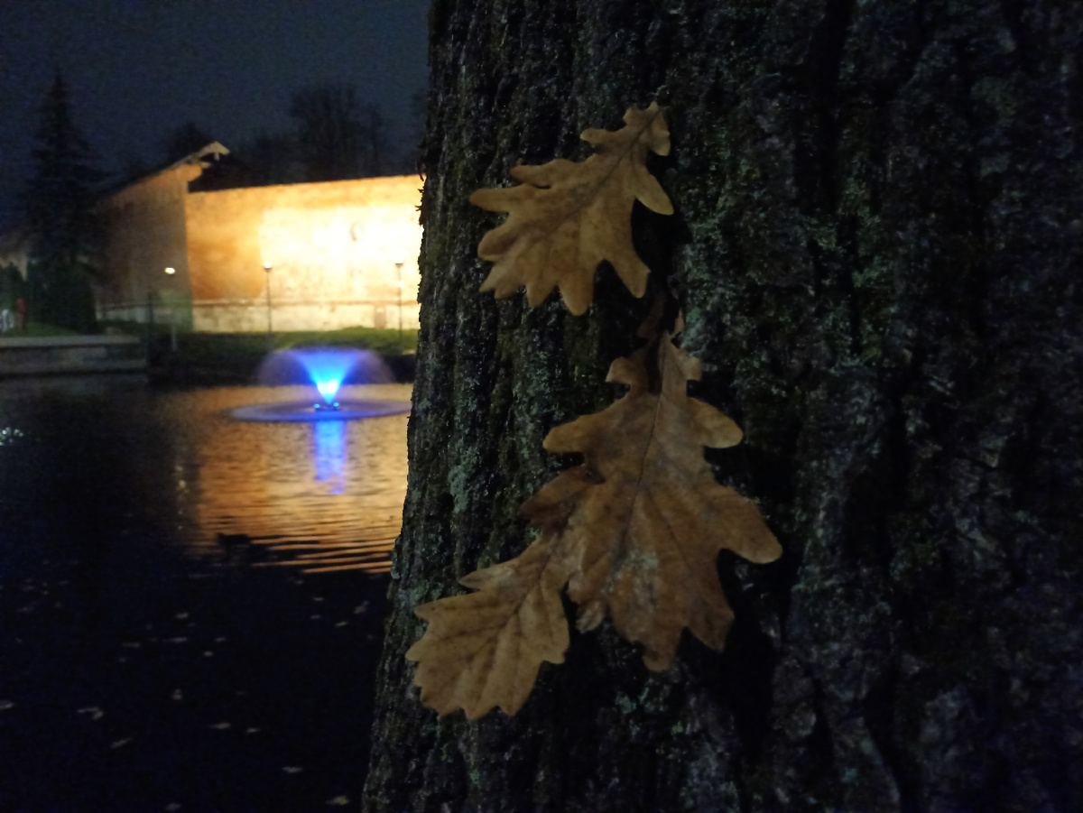 Осень в Смоленске 