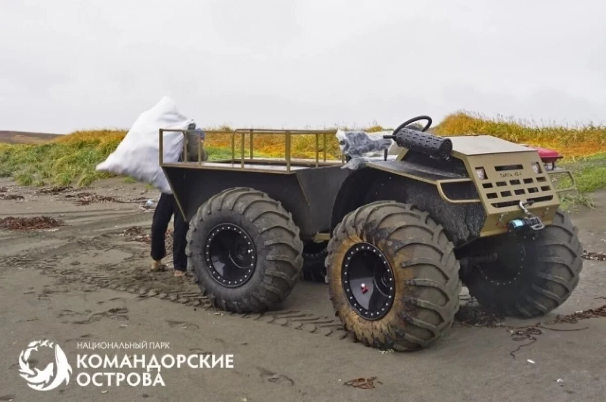    Каракат прибыл на камчатский остров Беринга