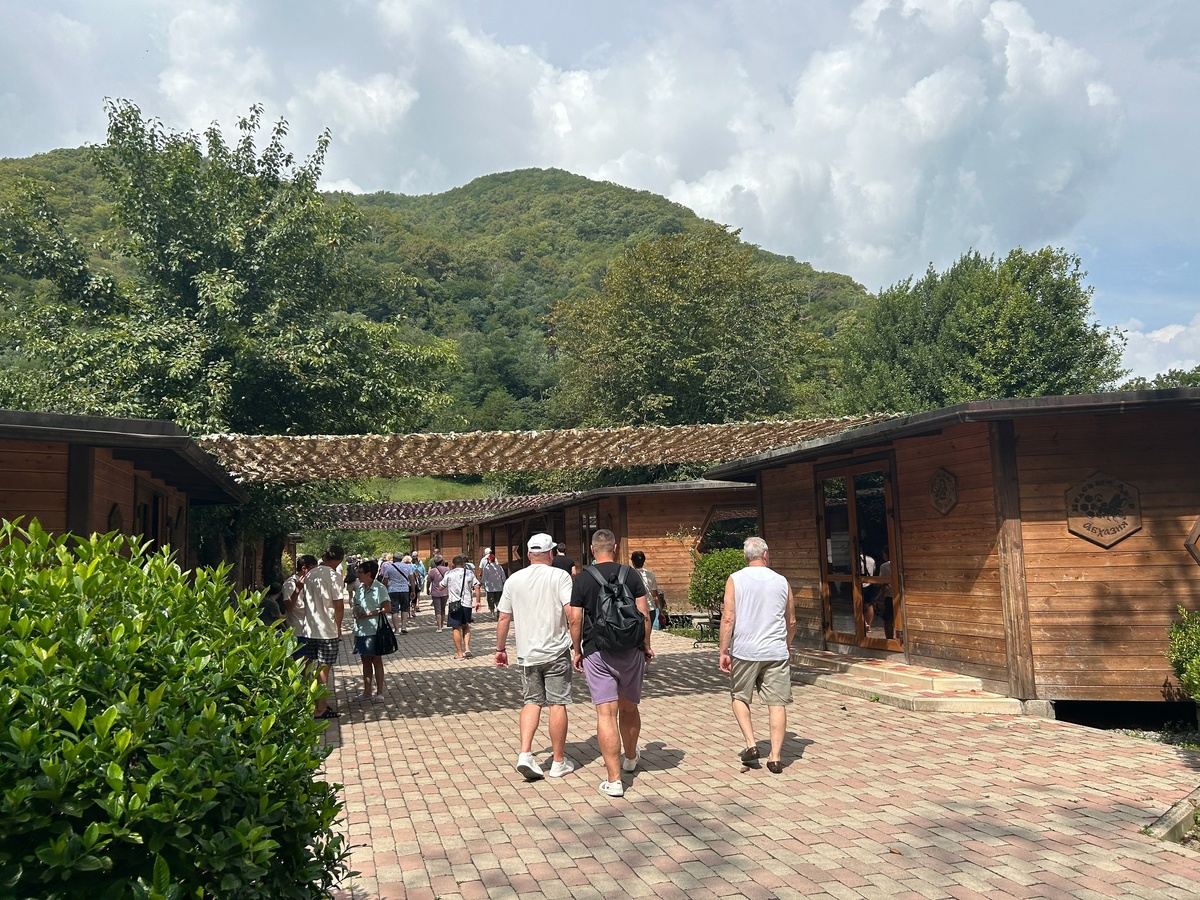    "Злые люди, змеи, грязь и безвкусная еда": туристы разочарованы отдыхом в Абхазии