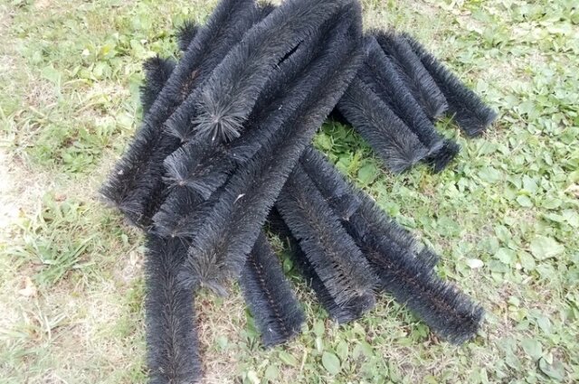    Фото: istockphoto.com/ Justin Smith