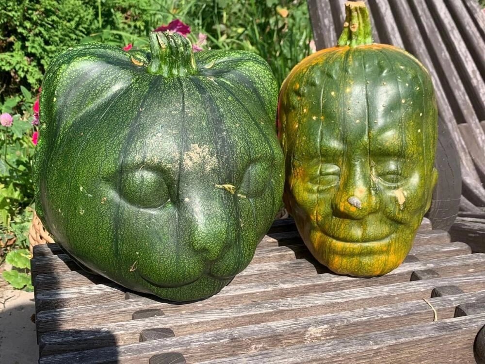    Фото: Из личного архивa