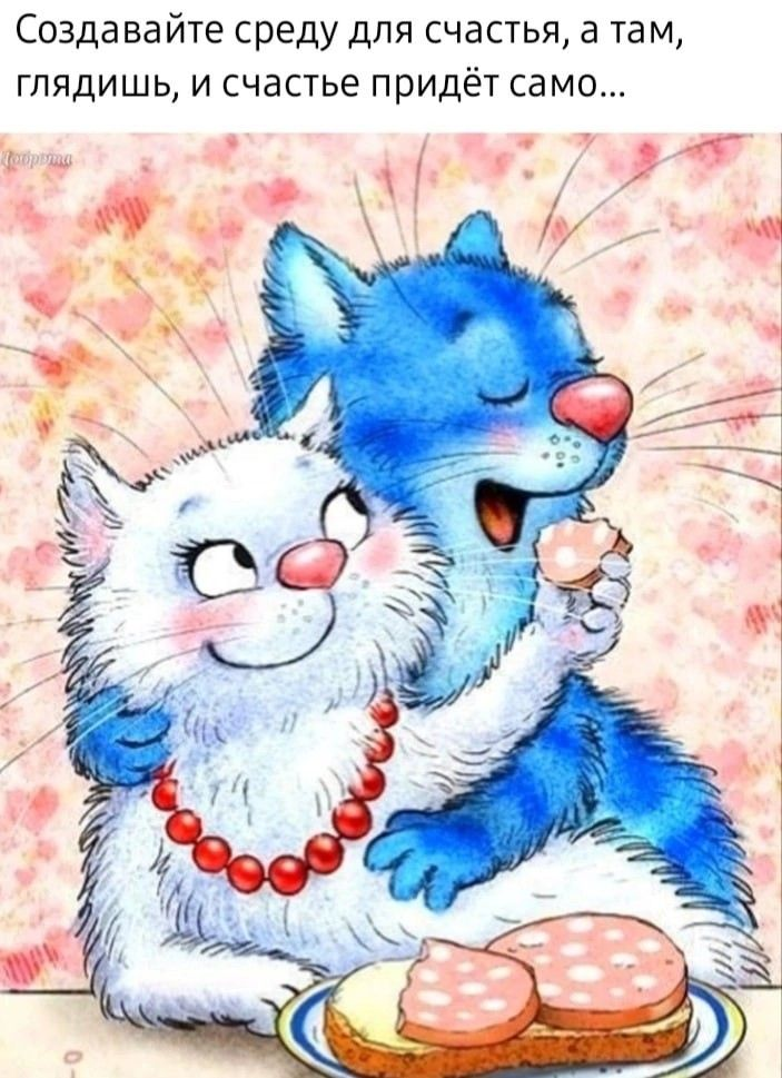 очаровательыне коты Рины Зенюк