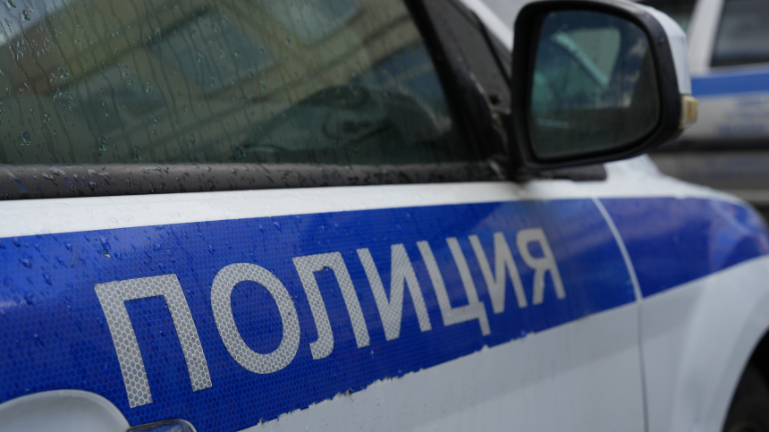    Фото: ИЗВЕСТИЯ/Дмитрий Коротаев; 5-tv.ru